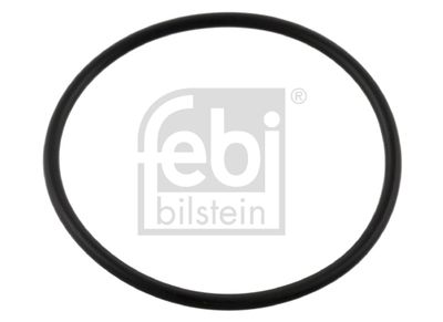 Dichtring Hydraulikfilter FEBI BILSTEIN 08937 | Sofort lieferbar & Fachberatung